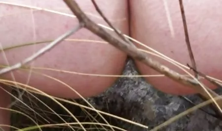 Cum bokep smk terbaru mengisi wajah nenek yang seksi