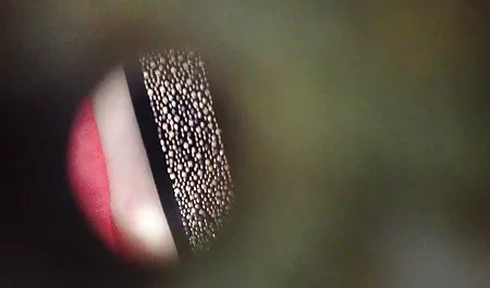 Saya merekam diri saya di video, intinya juga sangat full bokep 2019 bagus