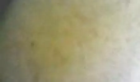 Gadis terangsang ingin kontol hitam besar bokep artis barat terbaru